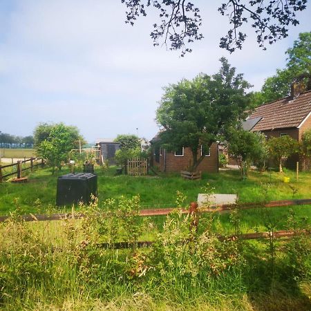 Trekkershut - Tiny House - Hikers Cottage Wijster 外观 照片