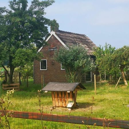 Trekkershut - Tiny House - Hikers Cottage Wijster 外观 照片